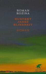 Hundert Jahre Blindheit Rozina, Roman 9783608987287