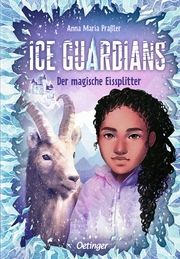 Ice Guardians - Der magische Eissplitter Praßler, Anna Maria 9783751204323