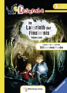 Im Labyrinth der Finsternis Lenk, Fabian 9783473385652