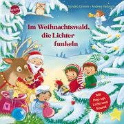 Im Weihnachtswald, die Lichter funkeln Grimm, Sandra 9783401720944