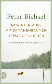 Im Winter muss mit Bananenbäumen etwas geschehen Bichsel, Peter 9783458681786