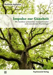 Impulse zur Ganzheit Appleton, Matthew 9783837933437