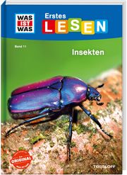 Insekten Braun, Christina 9783788676674