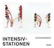 Intensivstationen Hechenblaikner, Lois 9783958299900