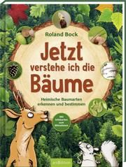 Jetzt verstehe ich die Bäume Bock, Roland 9783845847030