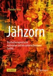 Jähzorn Itten, Theodor 9783662618837