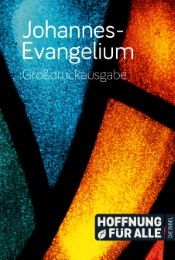 Johannes-Evangelium - Großdruckausgabe Fontis - Brunnen Basel 9783038484066