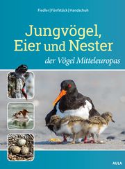 Jungvögel, Eier und Nester der Vögel Mitteleuropas Fiedler, Wolfgang/Fünfstück, Hans-Joachim/Handschuh, Markus 9783891048658