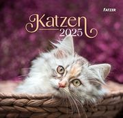Katzen 2025  9783866037915