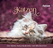 Katzen 2025  9783866037922