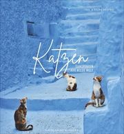 Katzen Morandi, Tuul/Morandi, Bruno 9783954163182