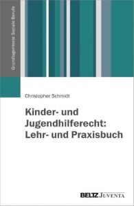 Kinder- und Jugendhilferecht: Lehr- und Praxisbuch Schmidt, Christopher 9783779923633