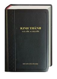 Kinh Thán - Bibel Vietnamesisch  9783438081933