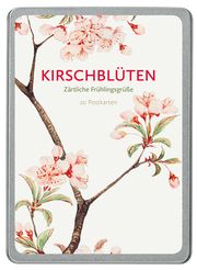 Kirschblüten  4251517505175