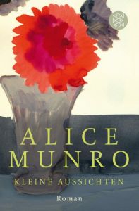 Kleine Aussichten Munro, Alice 9783596032617