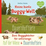 Kleine bunte Buggy-Welt Günther Jakobs 9783734816048
