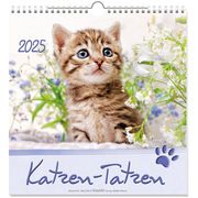 Kleine Katzen-Tatzen 2025  9783754829851