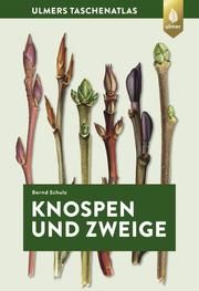 Knospen und Zweige Schulz, Bernd 9783818608200