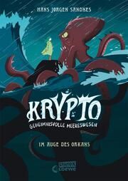 Krypto - Im Auge des Orkans Sandnes, Hans Jørgen 9783743216020