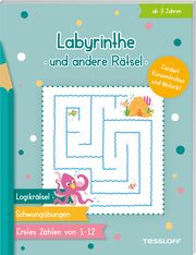 Labyrinthe und andere Rätsel Corina Beurenmeister 9783788645441