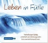 Leben in Fülle Arne Kopfermann 9783865912596