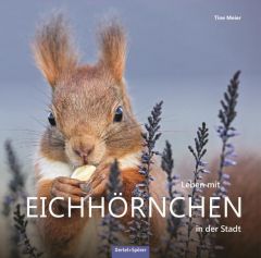 Leben mit Eichhörnchen in der Stadt Meier, Tine 9783886275748
