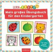 Lernraupe - Mein großes Übungsbuch für den Kindergarten Corina Beurenmeister/Angela Wiesner 9783845841748