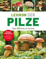 Lexikon der Pilze - Über 210 Pilze im Porträt Kothe, Hans W (Dr.)/Hecker, Frank 9783625191094