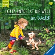 Lotta entdeckt die Welt: Im Wald Grimm, Sandra 9783473438785