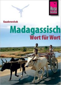 Madagassisch Wort für Wort Odendahl, Helena Voahanginirina 9783894160166