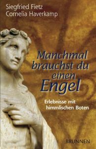 Manchmal brauchst du einen Engel Fietz, Siegfried/Haverkamp, Cornelia 9783765538308