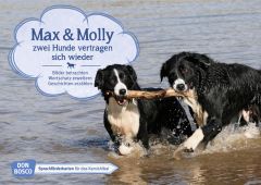 Max und Molly - zwei Hunde vertragen sich wieder Wieber, Monika 4260179515088