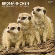 Meerkats/Erdmännchen 2025  9783959294683