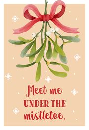 Meet me under the mistletoe  4005556173587