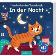 Mein blinkendes Soundbuch - In der Nacht Kasia Dudziuk/Maria Höck 9783845852447