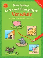 Mein bunter Lern- und Übungsblock Vorschule - Logisch denken und verbinden Schäfer, Carola 9783401720470