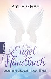 Mein Engel Handbuch Gray, Kyle 9783958035911