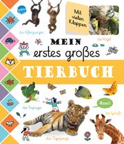 Mein erstes großes Tierbuch Stefanie Böhm 9783401717579
