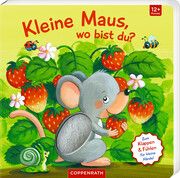 Mein erstes Guckloch-Fühlbuch: Kleine Maus, wo bist du? Sabine Kraushaar 9783649645696