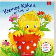 Mein erstes Gucklock-Fühlbuch: Kleines Küken, wo bist du? Sabine Kraushaar 9783649639176