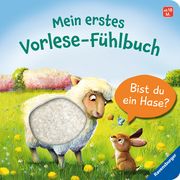 Mein erstes Vorlese-Fühlbuch: Bist du ein Hase? Orso, Kathrin Lena 9783473416875