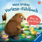 Mein erstes Vorlese-Fühlbuch: Bist du eine Ente? Orso, Kathrin Lena 9783473418732