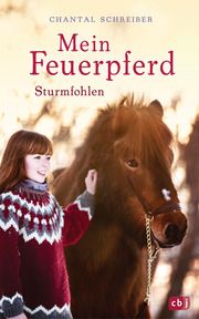 Mein Feuerpferd - Sturmfohlen Schreiber, Chantal 9783570176450