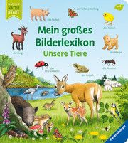 Mein großes Bilderlexikon: Unsere Tiere Gernhäuser, Susanne 9783473416783