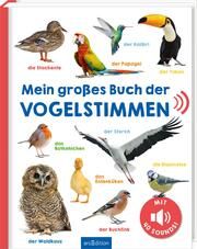 Mein großes Buch der Vogelstimmen  9783845855325