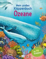 Mein großes Klappenbuch - Ozeane Ganeri, Anita 9783741525384