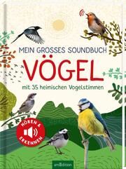 Mein großes Soundbuch Vögel Wagner, Eva 9783845852669