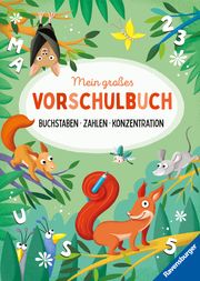 Mein großes Vorschulbuch: Buchstaben Zahlen Konzentration Jebautzke, Kirstin 9783473488919