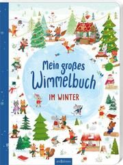 Mein großes Wimmelbuch - Im Winter Kathryn Selbert 9783845855141
