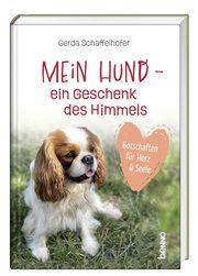 Mein Hund - ein Geschenk des Himmels Schaffelhofer, Gerda 9783746265957